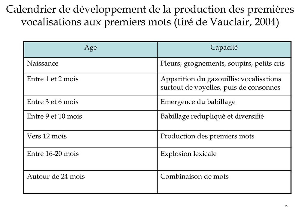 Language A 16 Mois